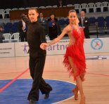 ������� �� ������� �������� ����������� VIP �artner� � �����������