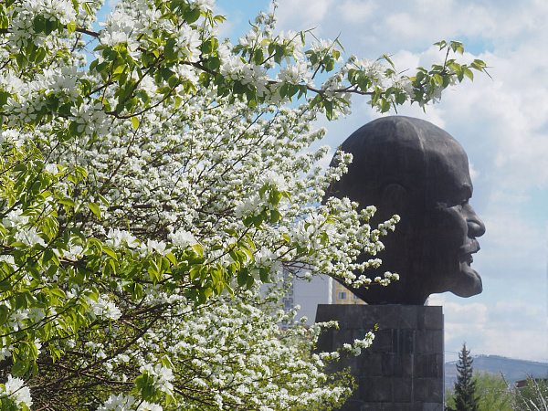 � ������ �������� �������� ������� ������