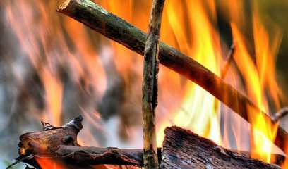 ������ ������� ���� � ���� �������� � 3,5 �������� ������