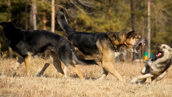 � ��������� ������� ��� ������ �������� ���������� �������� 