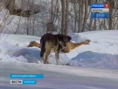 � ��������� ������ �� �� ������� �� �������� �������