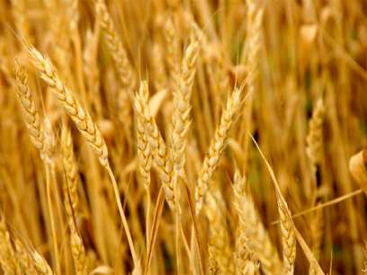 ���������� ������� �������� � ������������� ������������ ������������ 