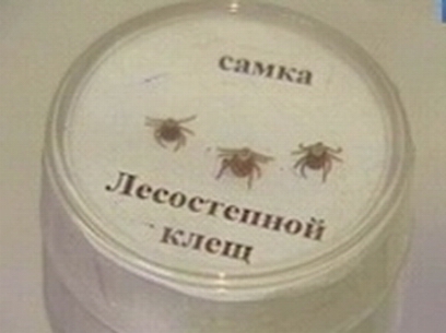 ��������� �������: � ������� ����� ��������� ������� ����������� � ���� ���