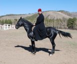 ������ �� ������ ��������� ���������� �������� �� ��� ��������� ��������