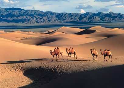 �������� ����������� ���������� ������ ������� ����� ��� 