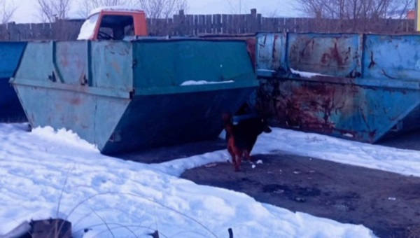 Расписание автобусов улан-удэ 134 и 135. В улан удэ во сколько будет. Билеты на самолет улан-удэ. Муп городские маршруты улан-удэ расписание автобусов. Погода в улан-удэ сегодня сейчас.