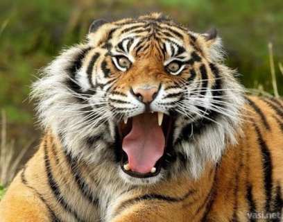 ��������� ������ �������� ��� �������