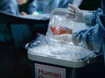 � ������� ������ ����������������� ������