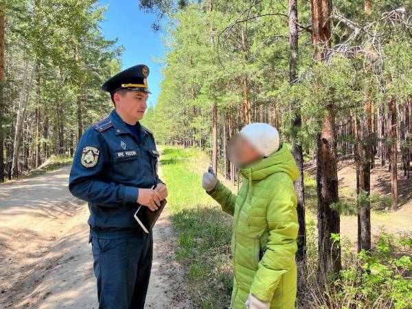 В лесах Улан-Удэ активно ловят нарушителей
