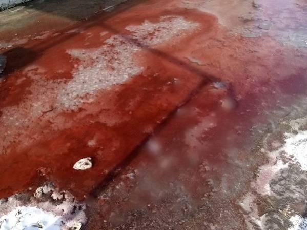 Стало известно, почему в Бурятии текли «кровавые» ручьи