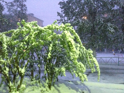 ����-��� �������� ������: ������� ������ ���� ����������