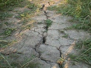 � ������� � ���������� ������������ ������