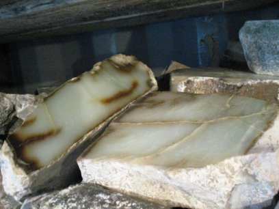 ������� ������� ������� ������� �� ��������� �� ���������� ���� �� ��������� 