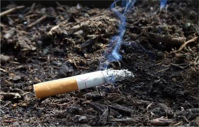 ������ ������� ��������� ������ ����� �������� � 581 ������� ������ 