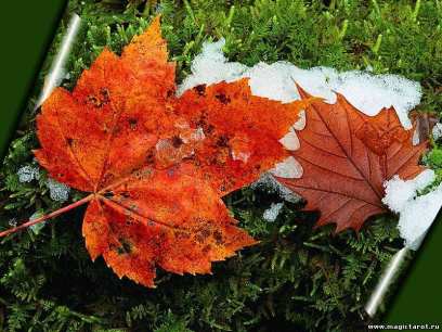 � ������� � ������� ������� �������� ���������� �������