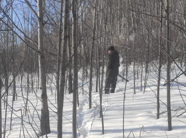 В Бурятии поймали браконьеров, охотившихся на символ года 