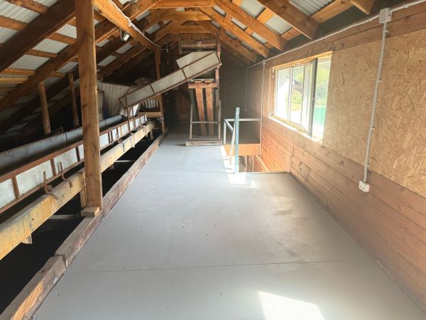 Единственную в Бурятии шишкосушилку отремонтировали