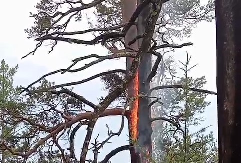 Более двухсот специалистов тушат лесные пожары в Бурятии