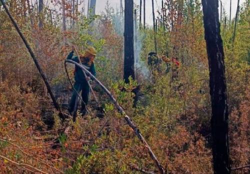 Два лесных пожара потушили в Бурятии