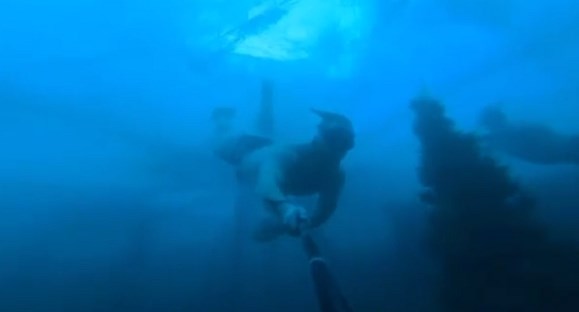 Экстремалы устроили хоровод вокруг подводной ёлки на Байкале   