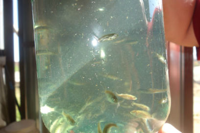 � ������� ��������� 350 ����� ������� ������