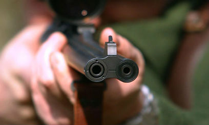 � ������� ������������� � �������� � ���� ������ ������ ����������� ����������    