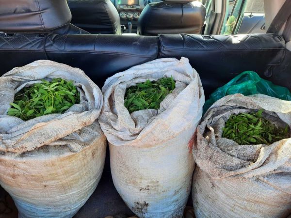 В Бурятии водитель вёз три мешка конопли  