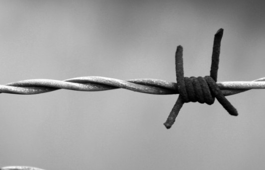 В Иркутской области осуждённый, сидя в колонии, обманул 19 человек 