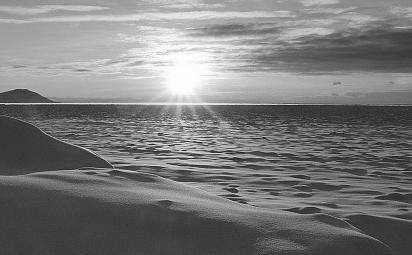 �� ������ ������� ���������� ���� ���������� ������