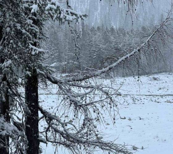 В Бурятию 18 мая вернулась зима 