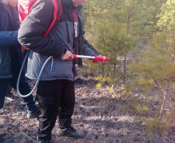 В Бурятии дети попробовали себя в роли лесников