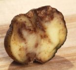 � ������� ������ ���������� ��������� �� �����