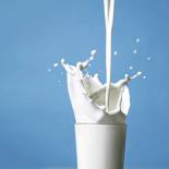 «Номер один»: В Бурятии начался дефицит молока