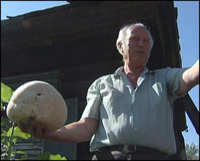 � �������� ������� ������� ������������� �����