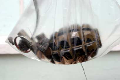 ��������� ������� e-mail � ������������ ����������� ��� ����������