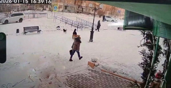 � ������� ����������� �������� ��������� ����� �� �������