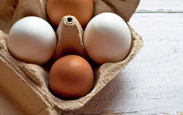 Через Бурятию за неделю провезли 3 миллиона куриных яиц