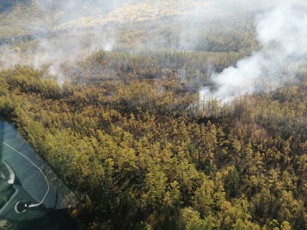 В Бурятии возник лесной пожар из-за сухой грозы