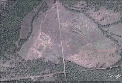 � ������� � 2010 ���� ������������ ���� �� ������� ������ �������