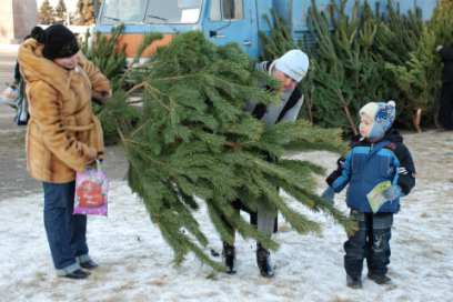 � ����-��� �������� ����������� ������ �������� 15-�� �������