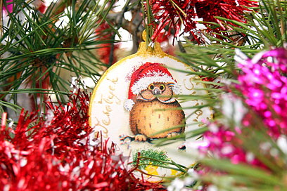 � ����-��� �������� �������� ����� ���