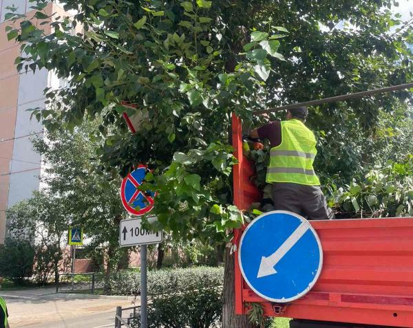 По Улан-Удэ ходят 17 человек с бензопилами