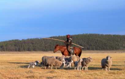 �������� ������� ���������� ��������� � ����� ������� 