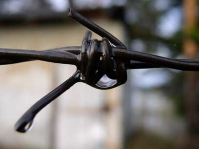 ����� �������� ����������� ���� � ��������� ���������� ������� ����-���