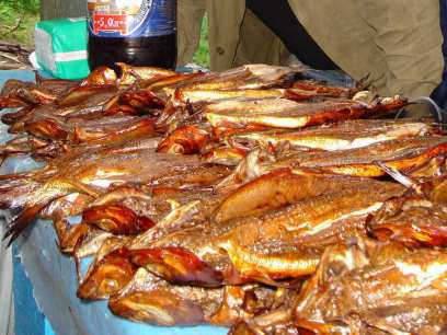 ������� ������������� �������: � ��������� ���������� �������� ������, � ������� - ������ ����������