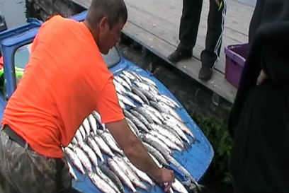 �� ������� ��������� �������� ����������