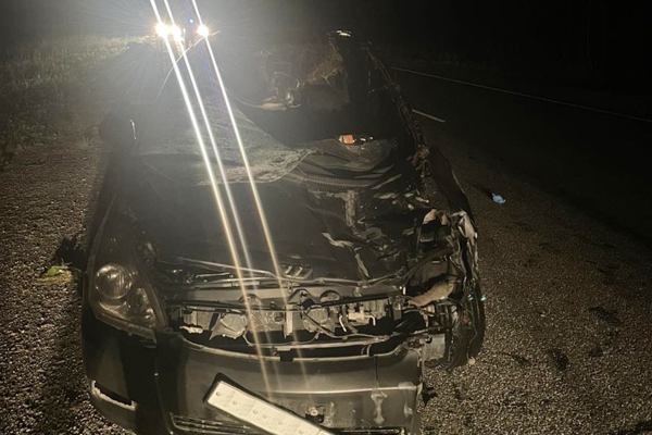 В Бурятии в ДТП с лошадью погибла женщина