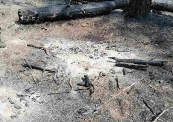 В Бурятии табунщик устроил лесной пожар 