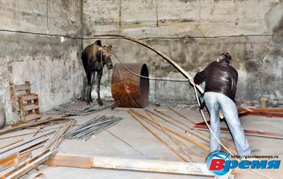 � ��������� ������� ��������� ���������� ���� ������ � �����