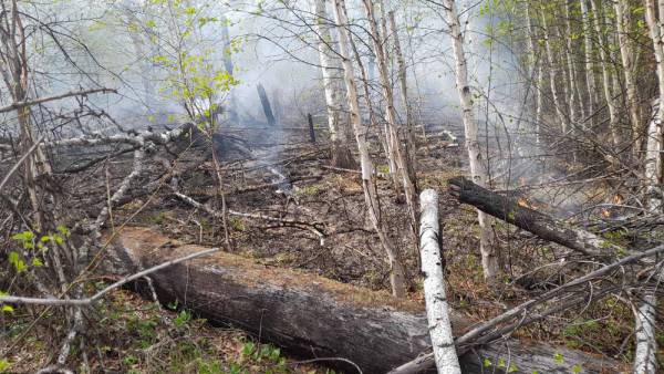 В Бурятии гроза вызвала лесной пожар в заповеднике 